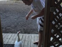 Cyrille fait connaissance avec Albert